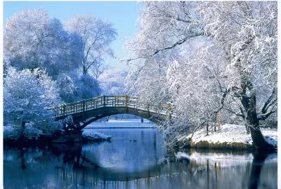 Paisaje Nevado jigsaw puzzle