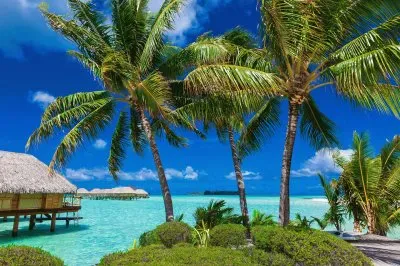 isla jigsaw puzzle
