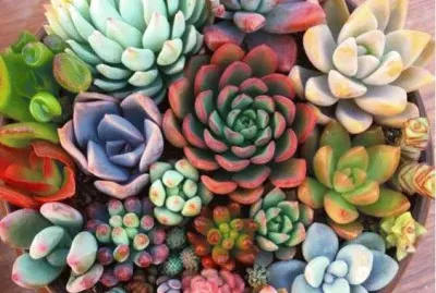 Objetos jigsaw puzzle