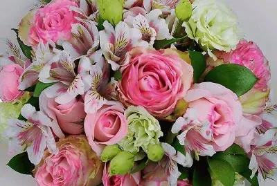 flores