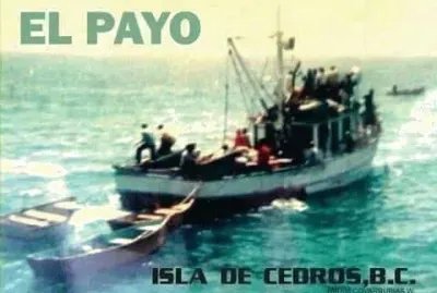 El Payo, isla de Cedros BC