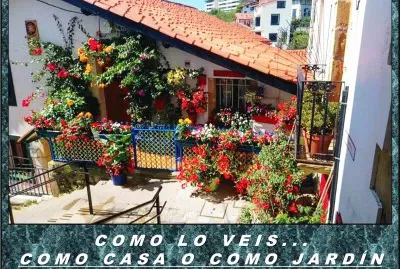 COMO LO VEIS...  COMO CASA O COMO JARDÃN