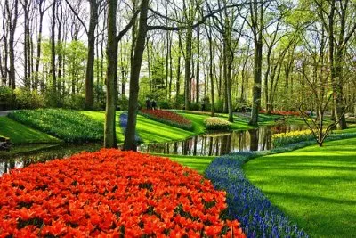 Nature jigsaw puzzle