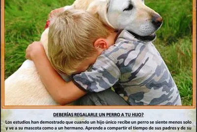DEBERÃAS REGALARLE UN PERRO A TU HIJO?
