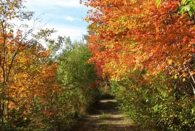 Hitting the trail for home  Oct 4th jigsaw puzzle