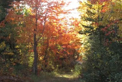 More beautiful trails...