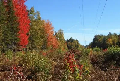 Crossing the hydro line    L