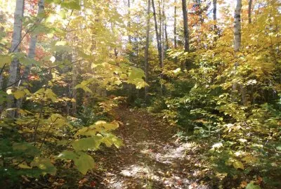 Along the trails    L