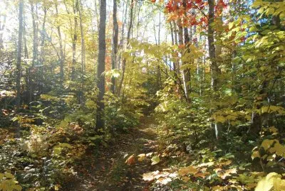 Oct 4th - wanna ride thru the woods with us?  L