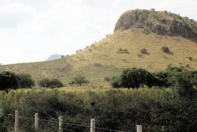 CampiÃ±a chihuahuense.