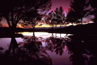 NOTURNO 12 jigsaw puzzle