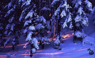 פאזל של Paisaje de invierno