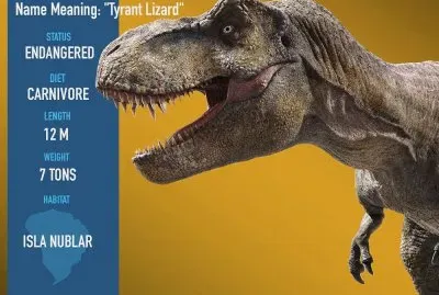 Tyrannosaurus Rex