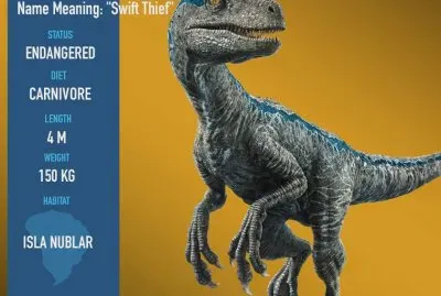 Velociraptor
