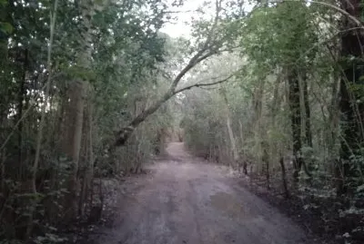 פאזל של El camino