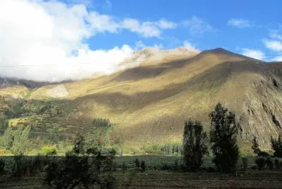CampiÃ±a peruana.