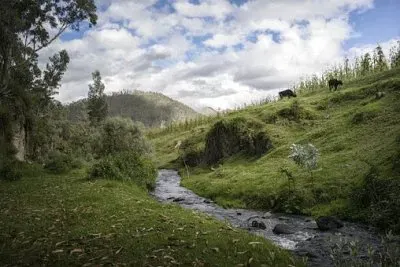 Nature jigsaw puzzle