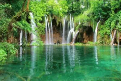 Nature jigsaw puzzle