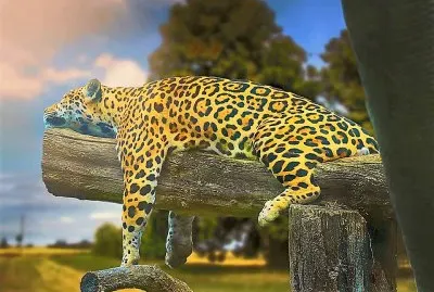 natural