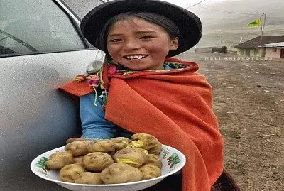 Campesina jigsaw puzzle