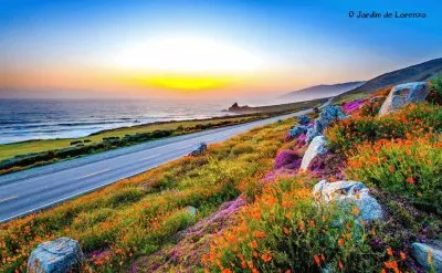 imagem jigsaw puzzle