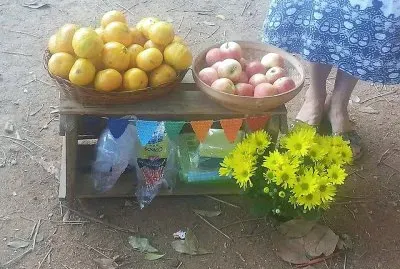 delicias
