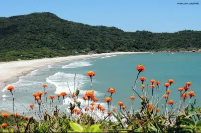 Praias de SC jigsaw puzzle