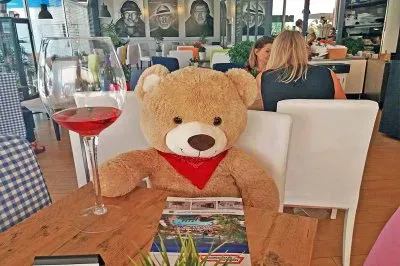 Oso con copa