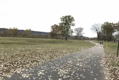 nature jigsaw puzzle