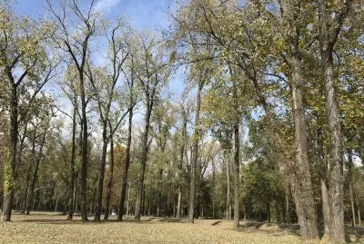 nature jigsaw puzzle