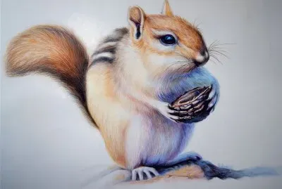 å½©è‰²é‰›ç­†ç•«