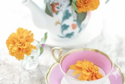 flores