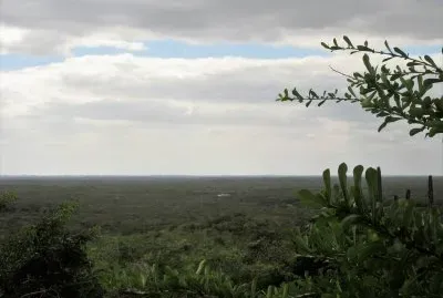 Paisaje yucateco.