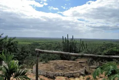 CampiÃ±a yucateca.