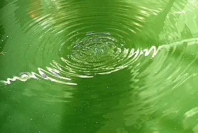 Waterdrops