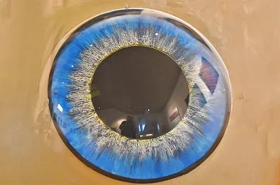 das Auge jigsaw puzzle