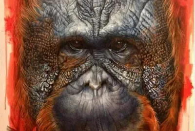 Monkey