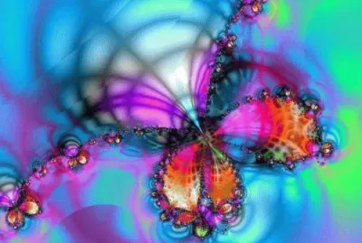 mariposa