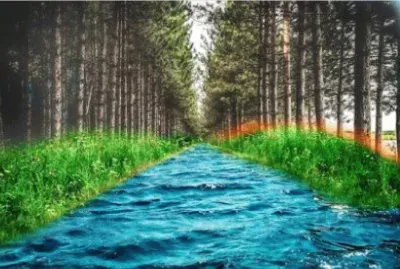 Nature jigsaw puzzle