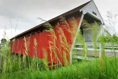 natural jigsaw puzzle