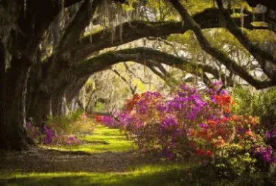 Nature