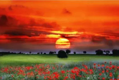 Nature jigsaw puzzle