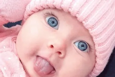 ELVIRA RS jigsaw puzzle