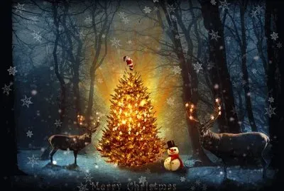 Natal jigsaw puzzle