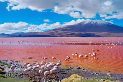 Laguna Colorada, BolÃ­via.
