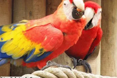 פאזל של Paisajes de Costa Rica