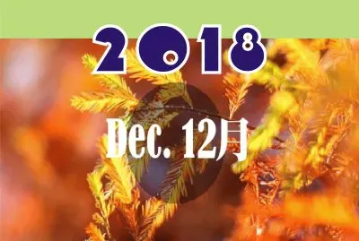 פאזל של 2018.12