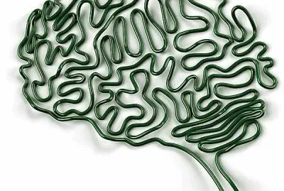 interessante jigsaw puzzle