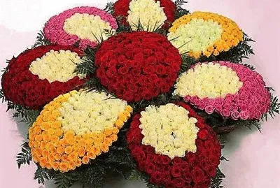 flores