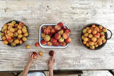 פאזל של frutas